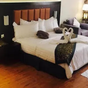 Sunday Millennia Riyadh